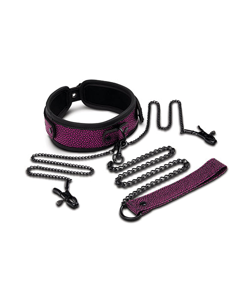 WhipSmart Dragon's Lair Collar, Leash &amp; Nipple Clips Set