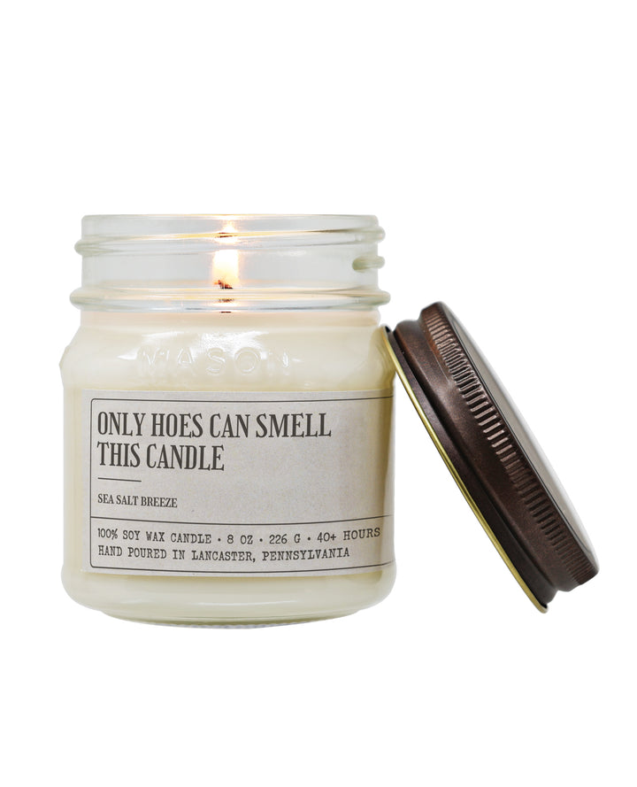 Only Hoes Can Smell This Candle - Funny Candle 8 oz Soy Wax