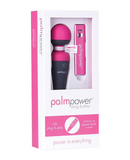 Palm Power Plug &amp; Play