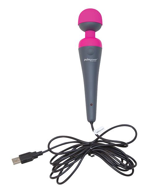 Palm Power Plug &amp; Play