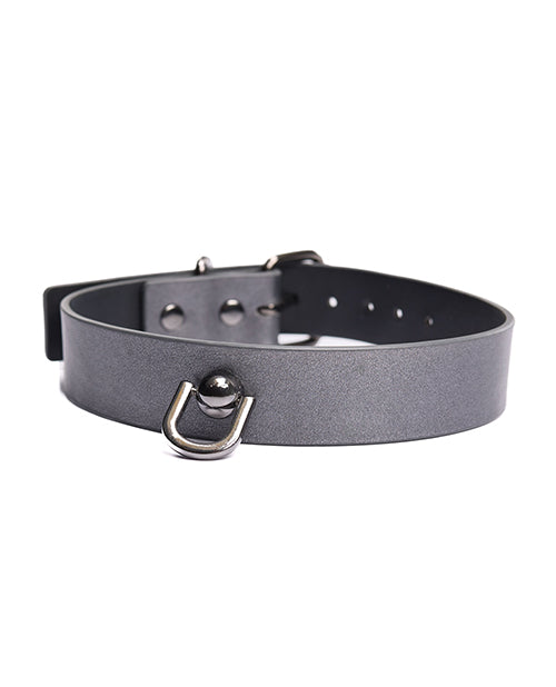 Pleasure Collection Gunmetal Glam Collar &amp; Leash w/Removable Chain