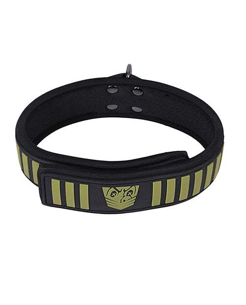 Fort Troff Tactical Collar &amp; Leash - Black/Green