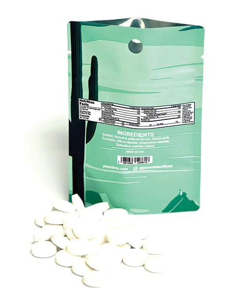 High &amp; Dry Cottonmouth Mints - Pack of 25 Wintergreen