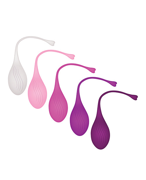 Evolved Tight &amp; Delight 5 pc Weighted Kegel Ball Set - Assorted Colors