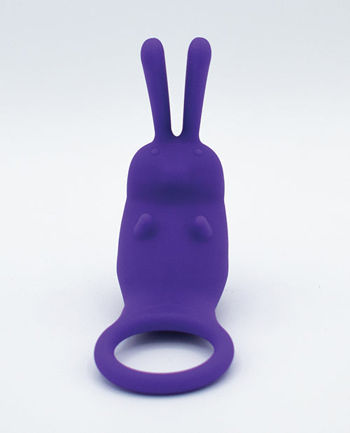 Natalie's Toy Box The Cock Hopper Cock Ring &amp; Bullet Vibrator - Purple