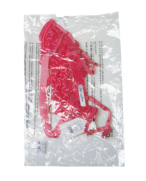 Aubrielle Diamond Mesh Underwire Teddy - Pink 1X