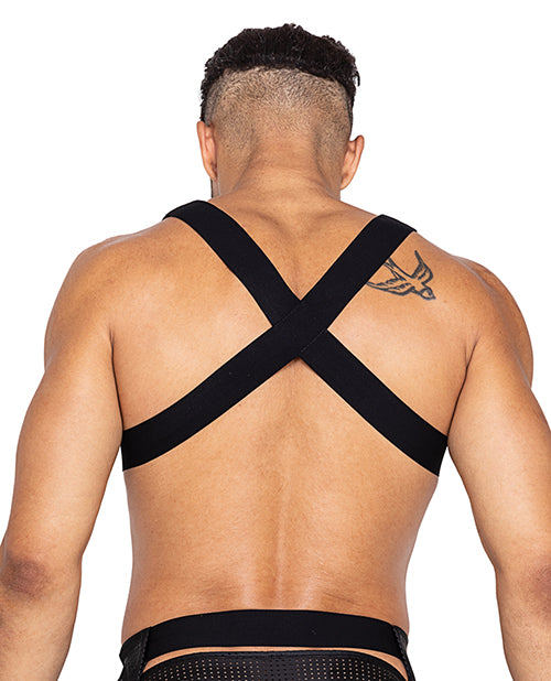 Master Harness w/Hook &amp; Ring Closure Black XL