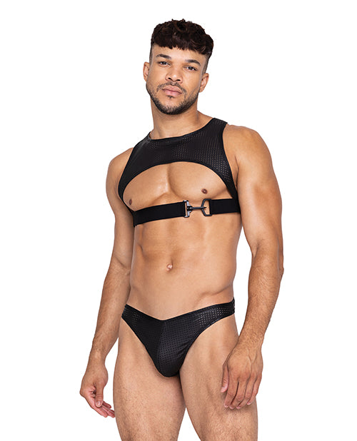 Master Harness w/Hook &amp; Ring Closure Black XL