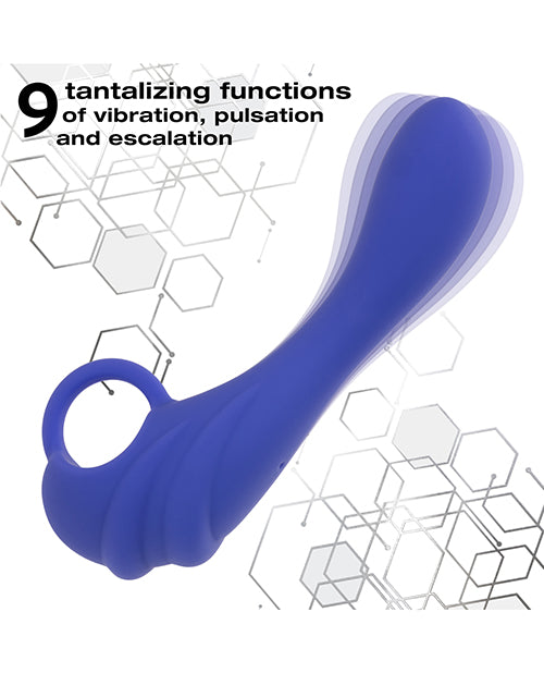 Calexotics Connect Explorer