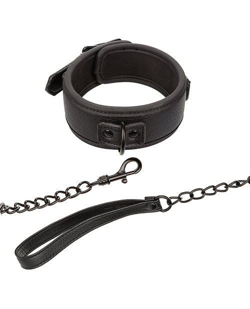 Nocturnal Collection Detachable Collar &amp; Leash - Black