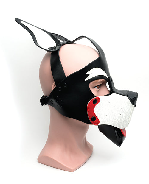 665 Playful Pup Hood - O/S Black/White/Red