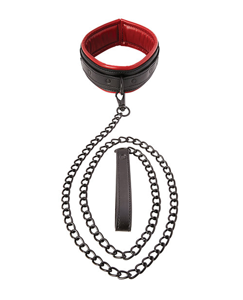 Saffron Leash &amp; Collar